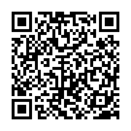 QR code for RUZ271