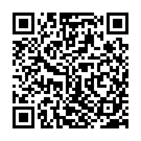 QR code for RXI381