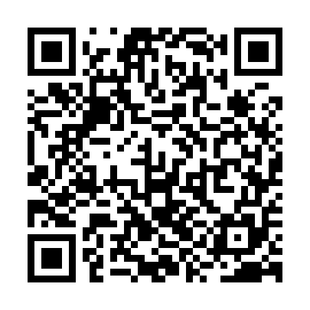 QR code for RYG955