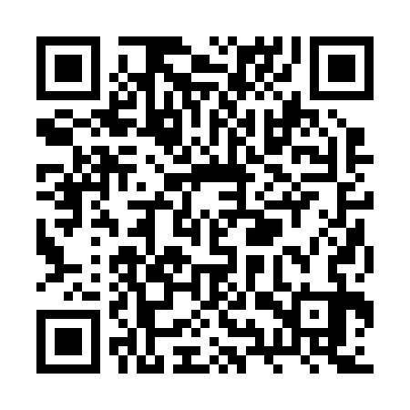 QR code for RYR233