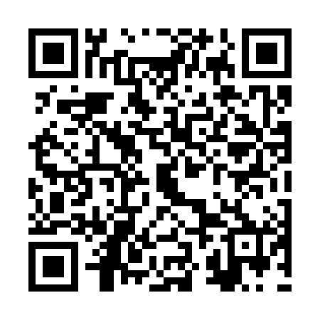 QR code for RZD380
