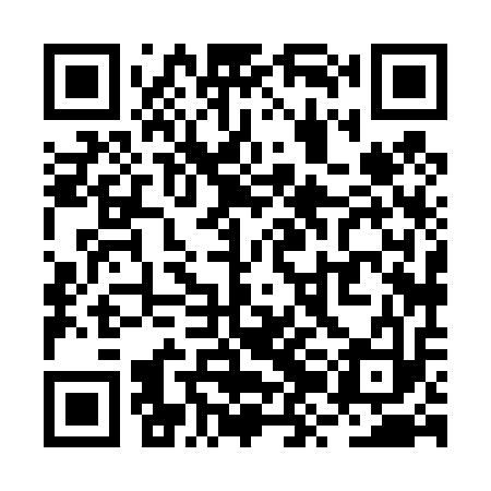 QR code for RZH413