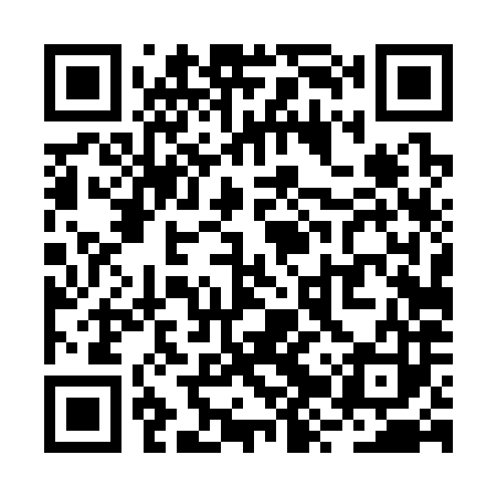 QR code for RZT383