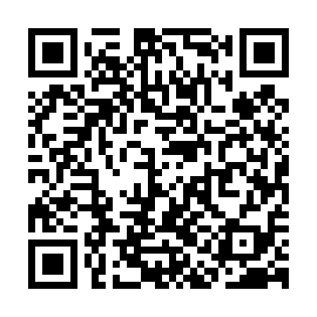 QR code for SAE419