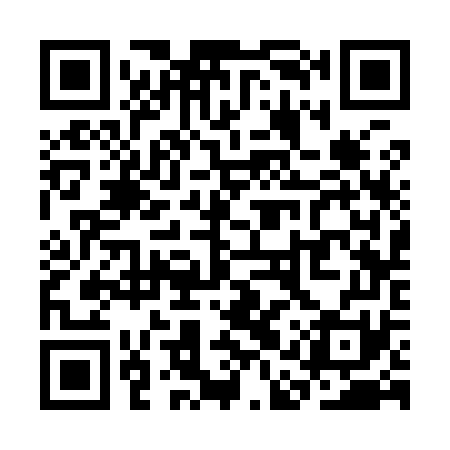 QR code for SAS971