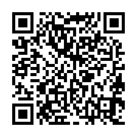 QR code for SDG991