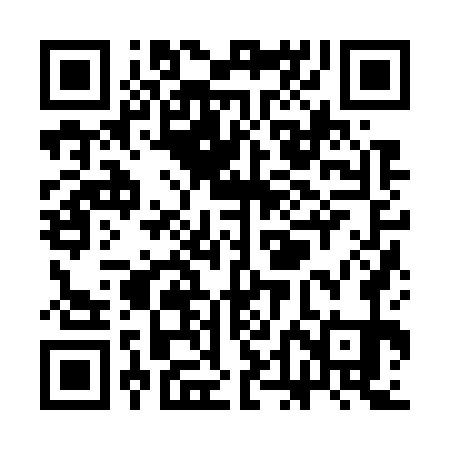 QR code for SDJ771