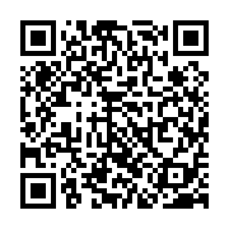 QR code for SEI119