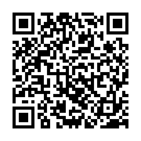 QR code for SEO333
