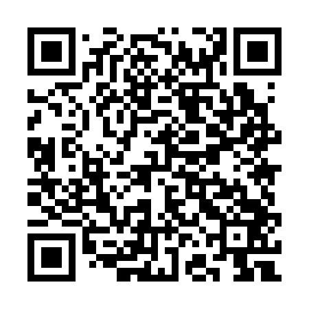 QR code for SFM343