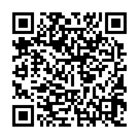 QR code for SHE318