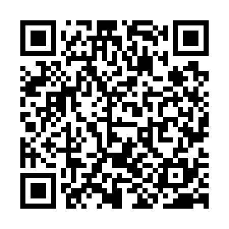 QR code for SIN735