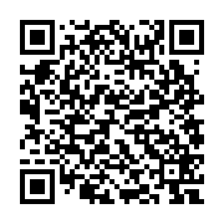 QR code for SIV369