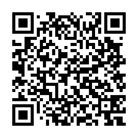 QR code for SIW038