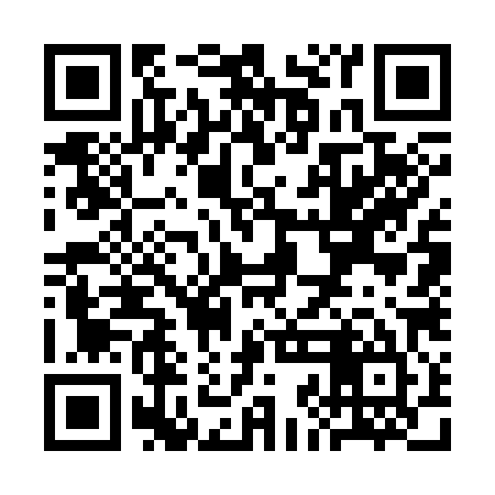 QR code for SJG385