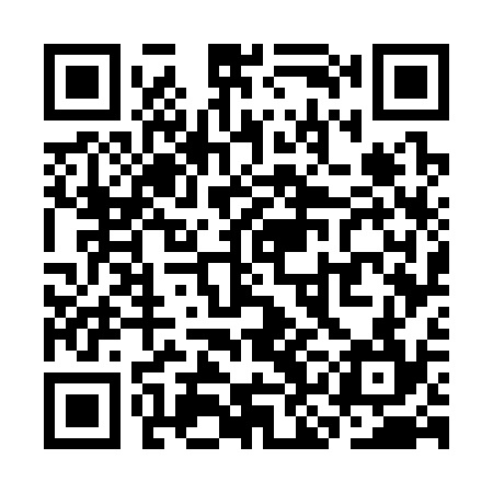 QR code for SKG334
