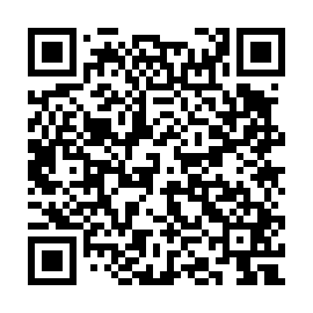 QR code for SKK441