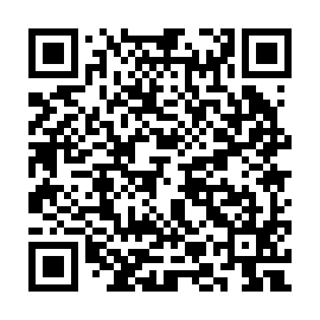 QR code for SMQ295