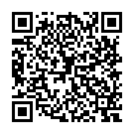 QR code for SNA993
