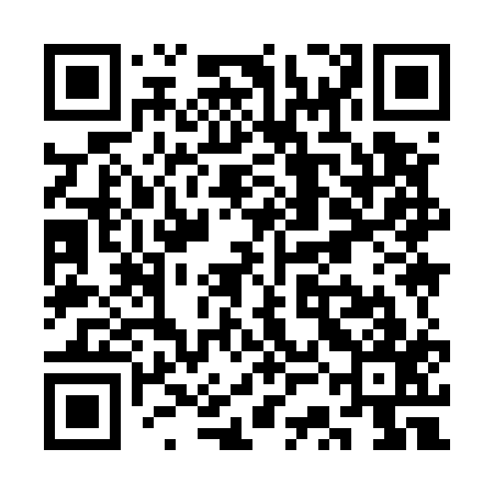 QR code for SSI517