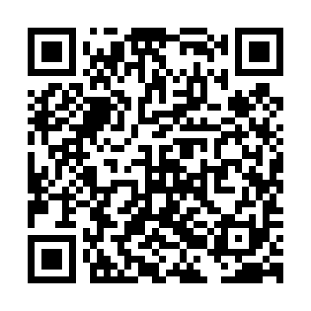 QR code for TBI491