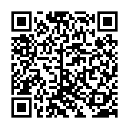 QR code for TDG229