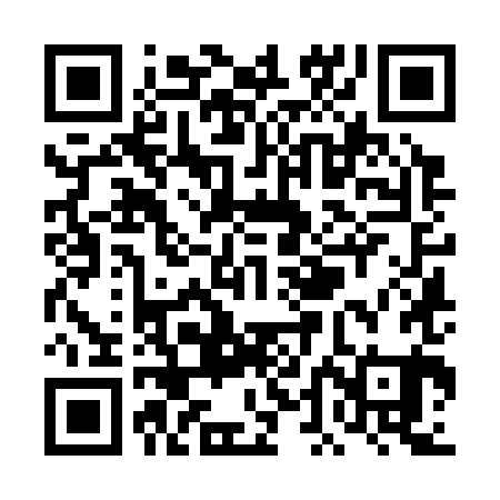 QR code for TDK381