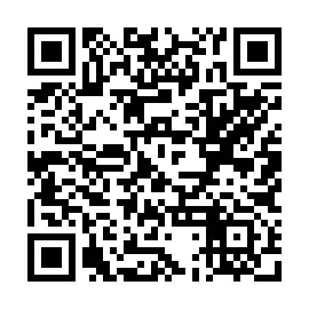 QR code for TDM293