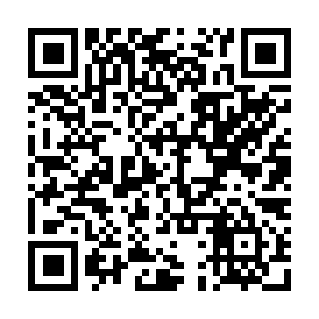 QR code for TDV295