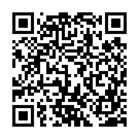 QR code for TEM666