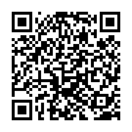 QR code for THN439