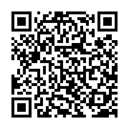 QR code for TID509