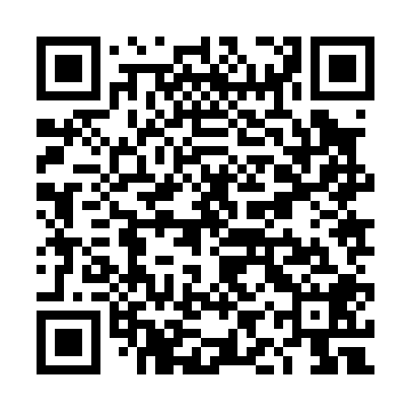 QR code for TIZ008