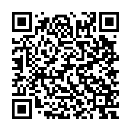 QR code for TLE063