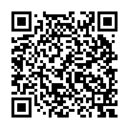 QR code for TOP293