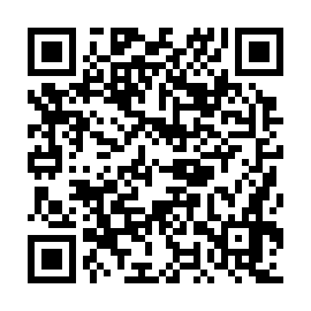 QR code for TOP376