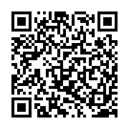 QR code for TXQ313