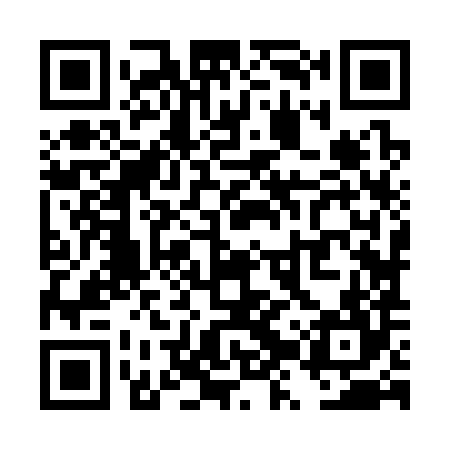 QR code for TZZ384