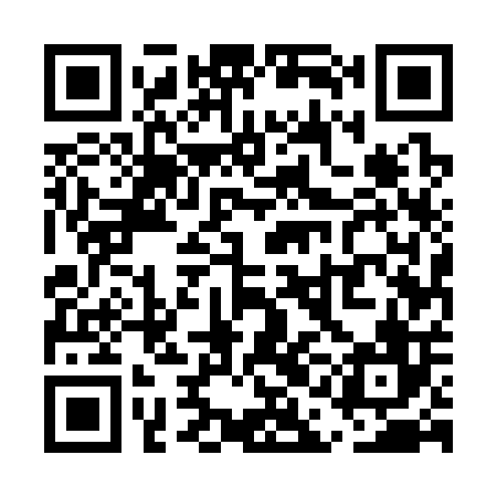 QR code for UAE306