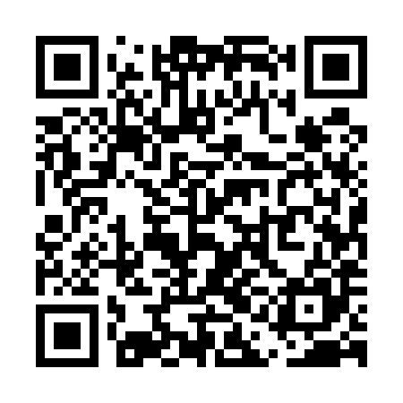 QR code for UAE585