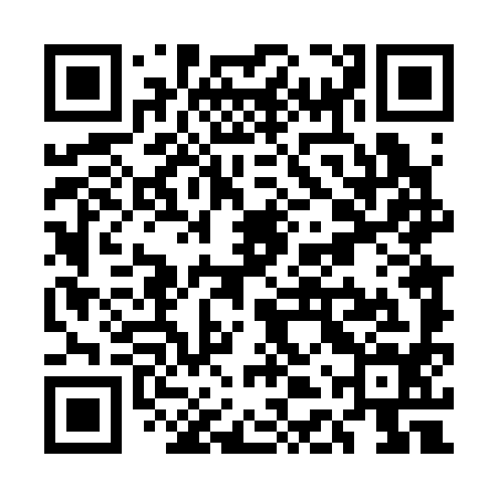 QR code for UDT394