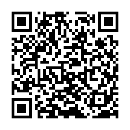 QR code for UEI311
