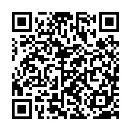 QR code for UGX295