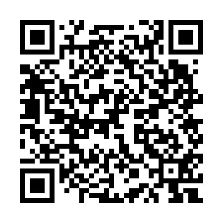 QR code for UPG611