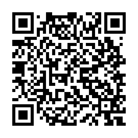 QR code for USJ393