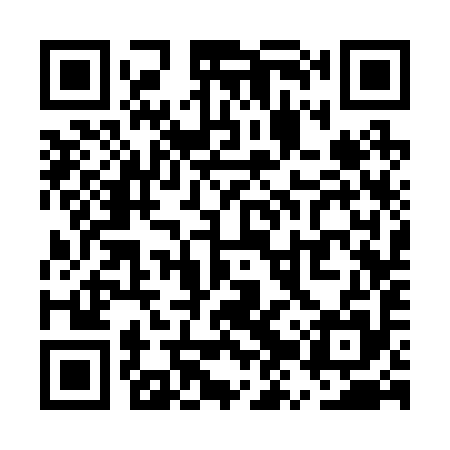 QR code for UZS295