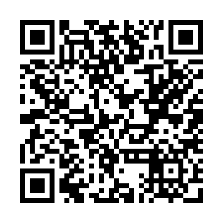 QR code for VAG387