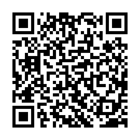 QR code for VAP219