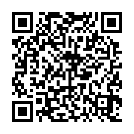 QR code for VBV333