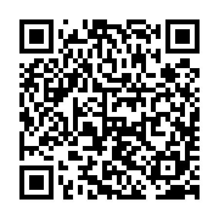 QR code for VDR595